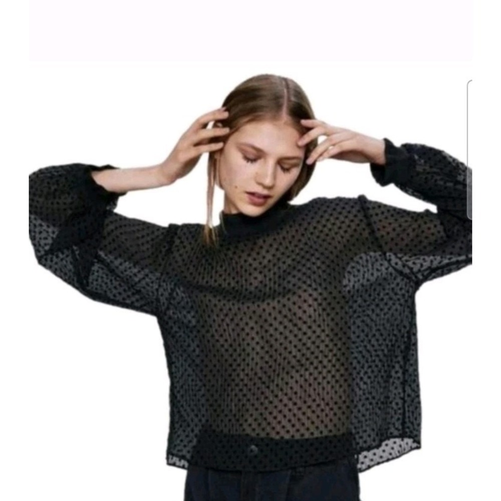 Zara Black Size XSmall Velvet Polka Dot Long Sleeve Blouse MOCK NECK To